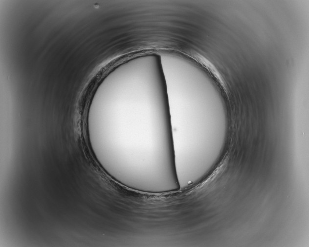 X0000094931019200711290957