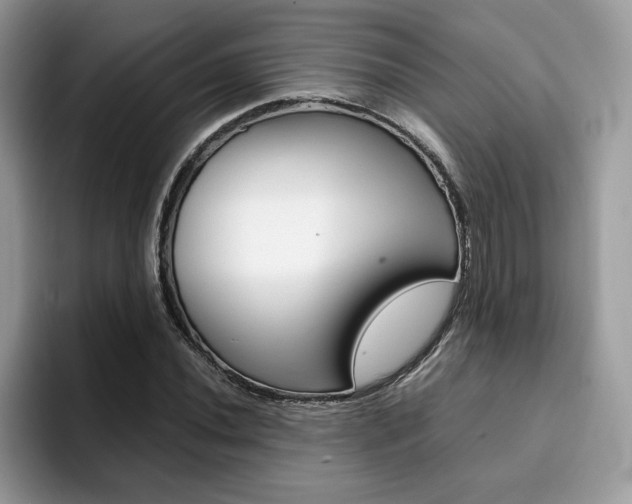 X0000094931020200711290957