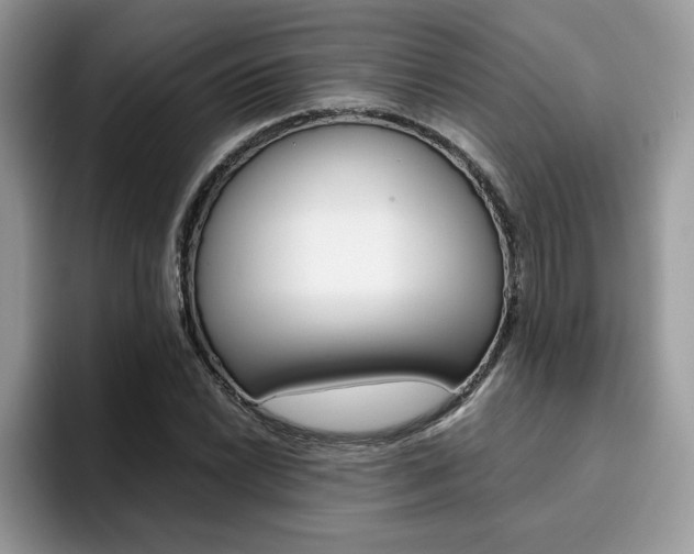 X0000094931022200711290957