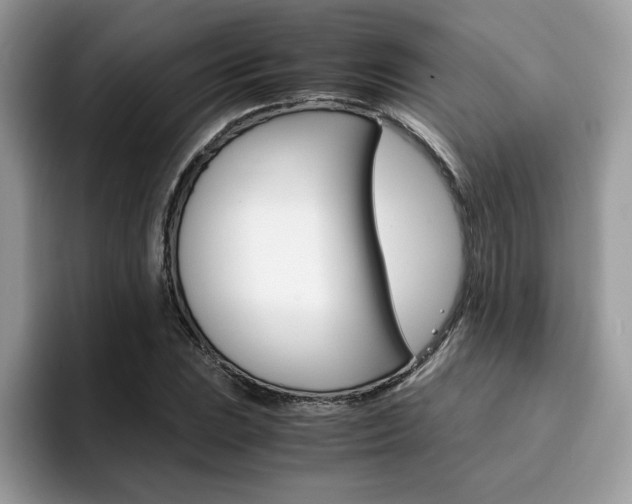 X0000094931023200711290957