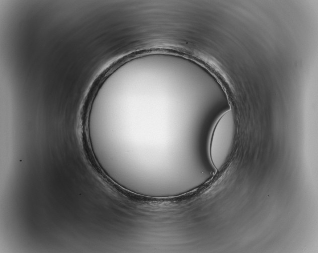 X0000094931024200711290957