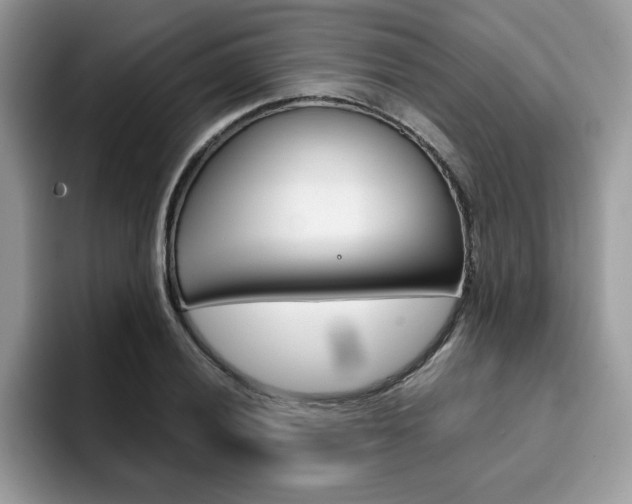 X0000094931028200711290957