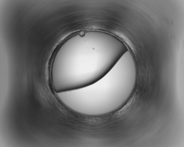 X0000094931031200711290957