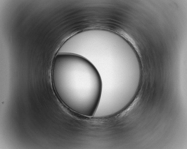 X0000094931041200711290957