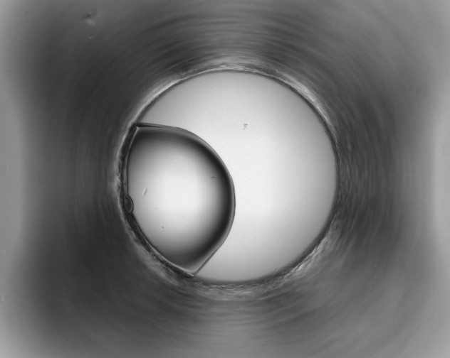 X0000094931042200711290957