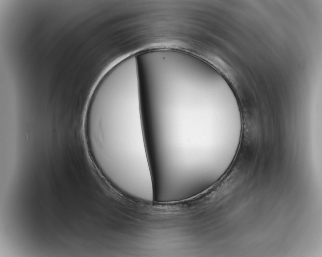 X0000094931044200711290957