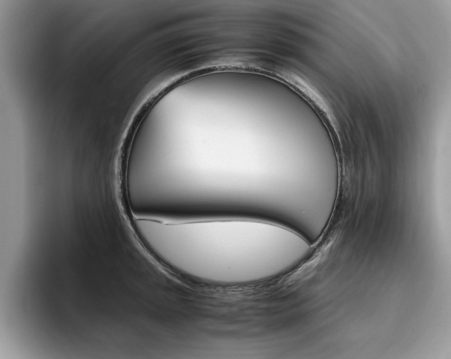 X0000094931045200711290957