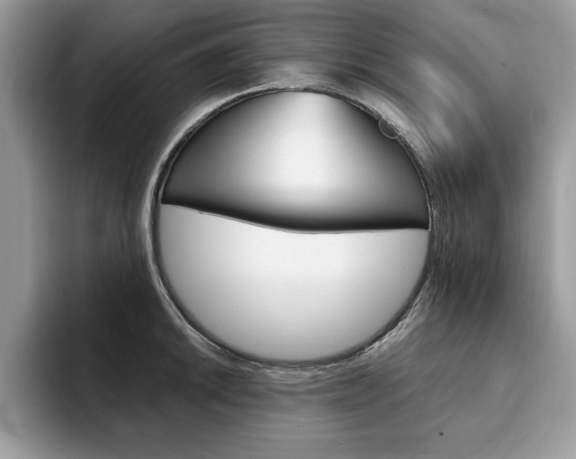 X0000094931046200711290957