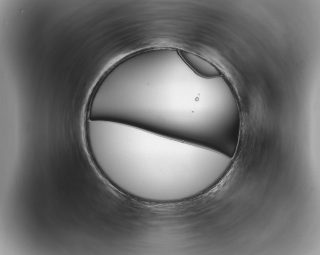 X0000094931048200711290957