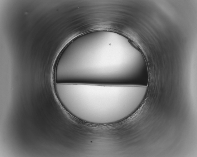 X0000094931050200711290957