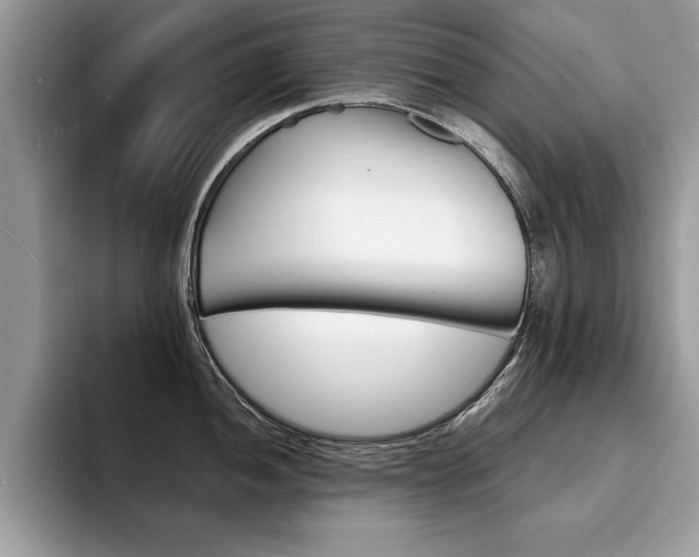 X0000094931052200711290957
