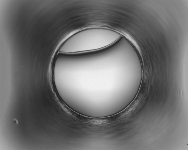 X0000094931053200711290957