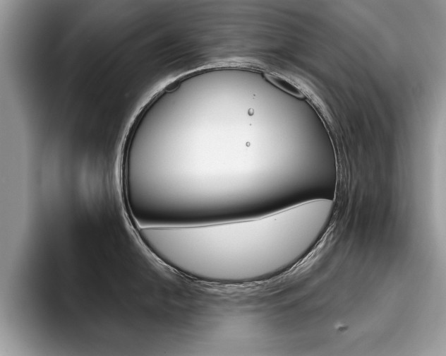 X0000094931054200711290957