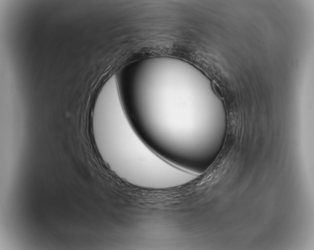 X0000094931057200711290956