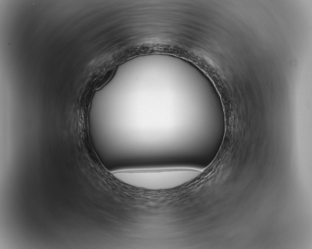 X0000094931062200711290956