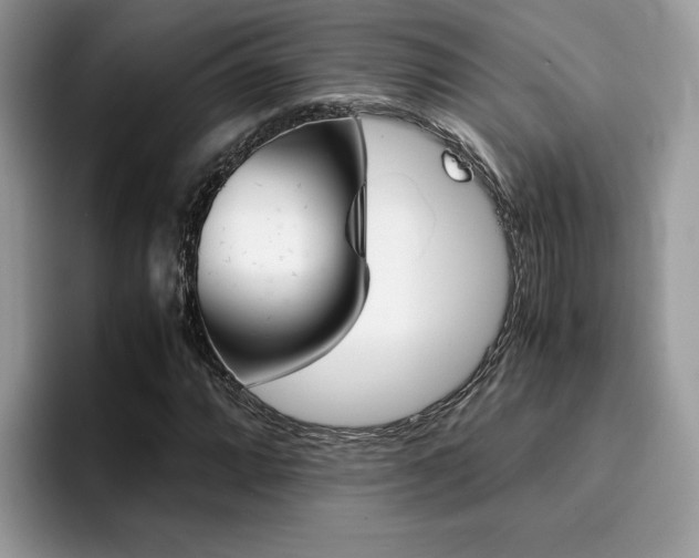 X0000094931064200711290956