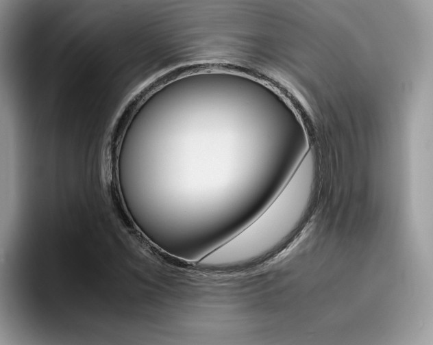 X0000094931069200711290956
