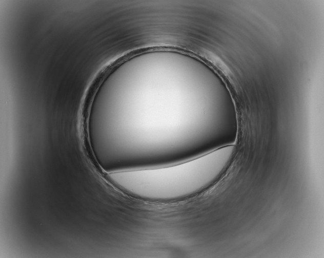 X0000094931072200711290956
