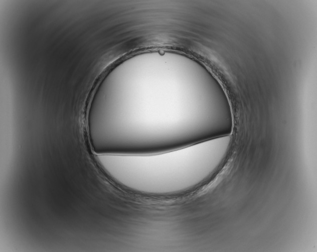 X0000094931073200711290956
