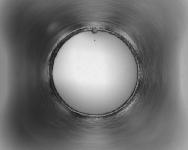 X0000094931075200711290956