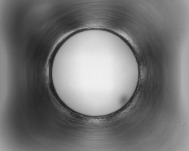 X0000094931078200711290956