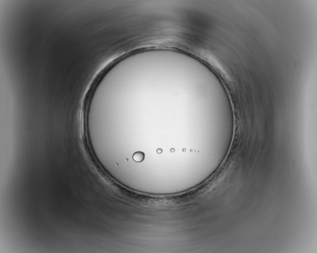 X0000094931079200711290956