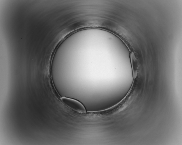 X0000094931081200711290956