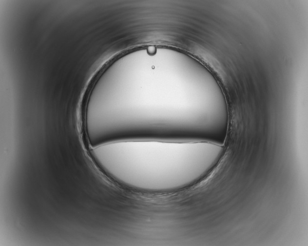 X0000094931082200711290956