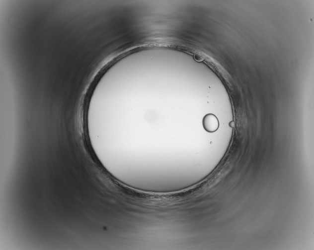 X0000094931083200711290956