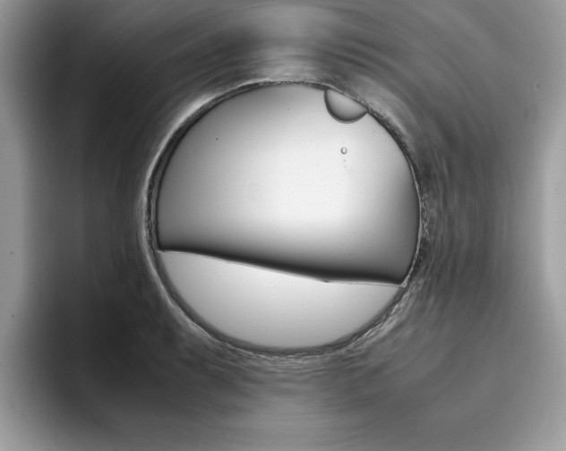 X0000094931087200711290956