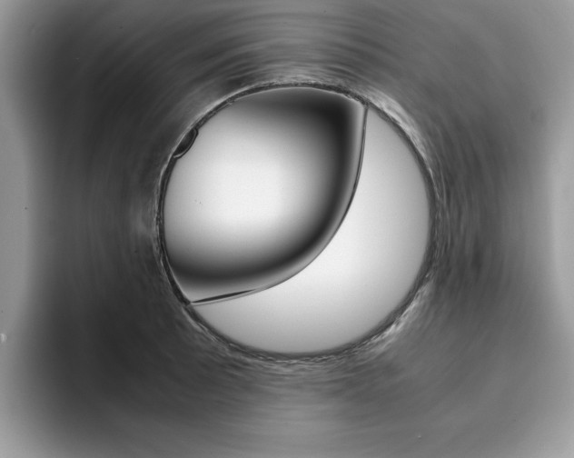 X0000094931089200711290956