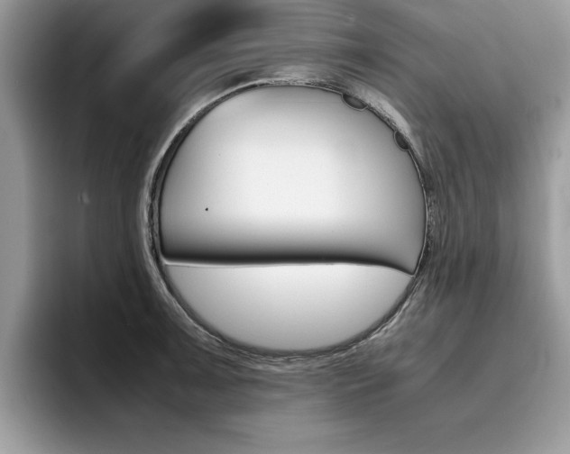 X0000094931091200711290956