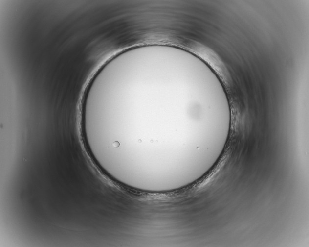 X0000094931094200711290956