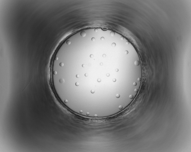 X0000094931095200711290956