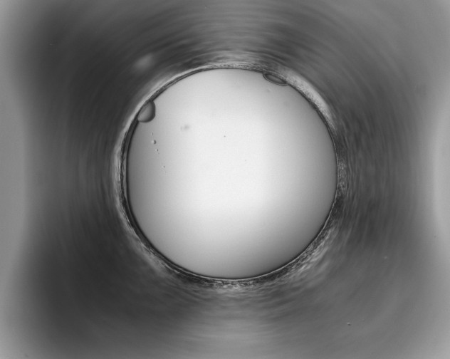 X0000094931099200711290956