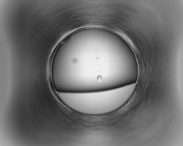 X0000094931101200711290956