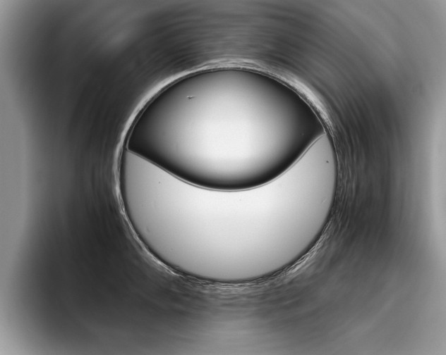 X0000094931102200711290956