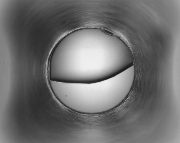 X0000094931103200711290956