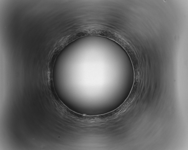 X0000094931108200711290955
