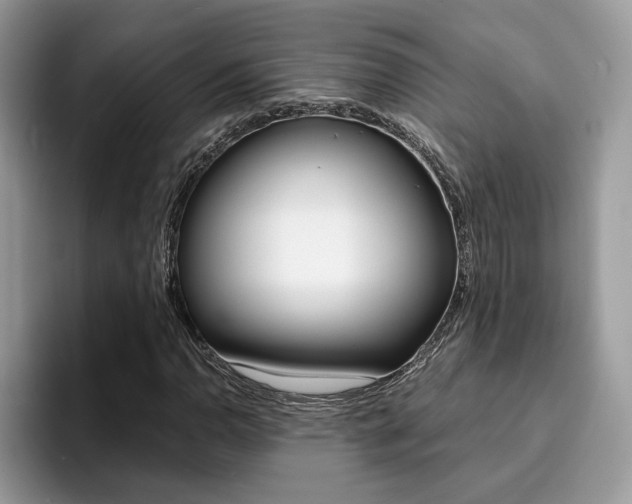 X0000094931110200711290955