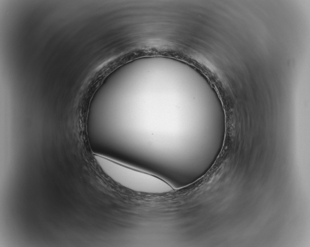X0000094931112200711290955