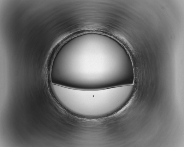 X0000094931114200711290955