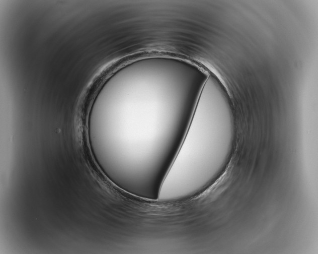 X0000094931115200711290955
