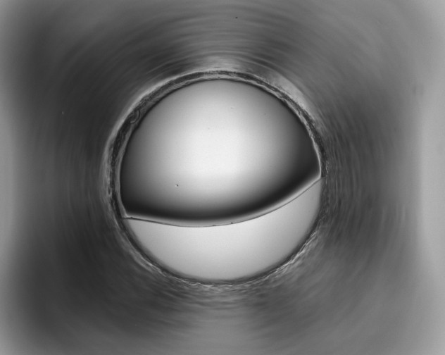 X0000094931116200711290955