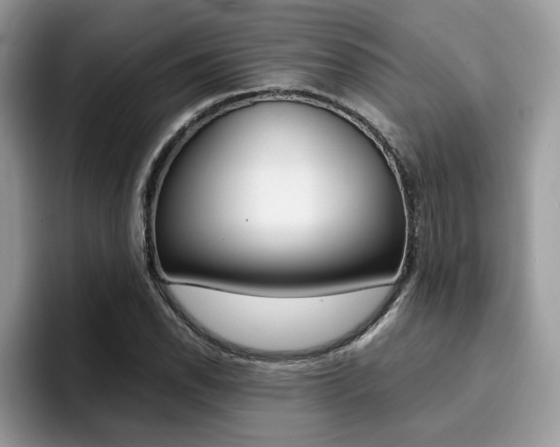 X0000094931118200711290955