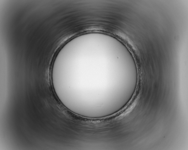 X0000094931121200711290955