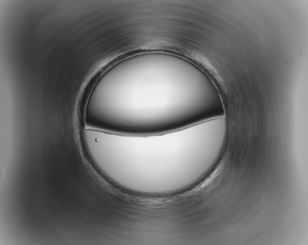 X0000094931122200711290955