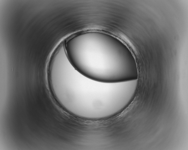 X0000094931124200711290955