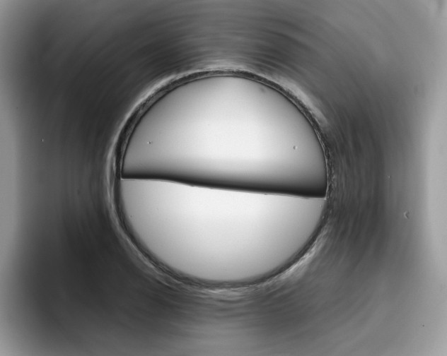 X0000094931126200711290955