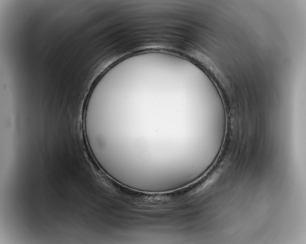 X0000094931129200711290955